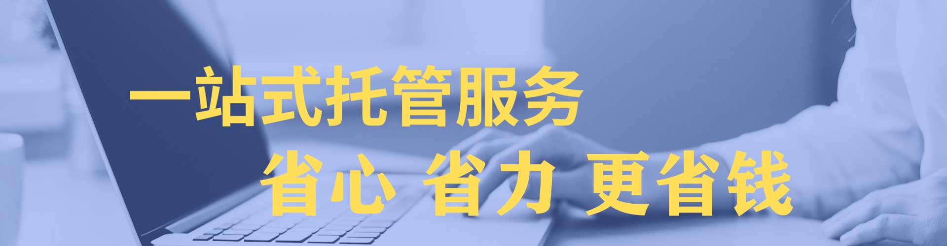 东西湖网络推广竞价